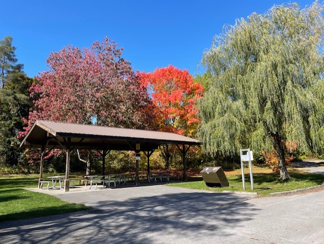 covered picnic shelter surrounded by fall trees